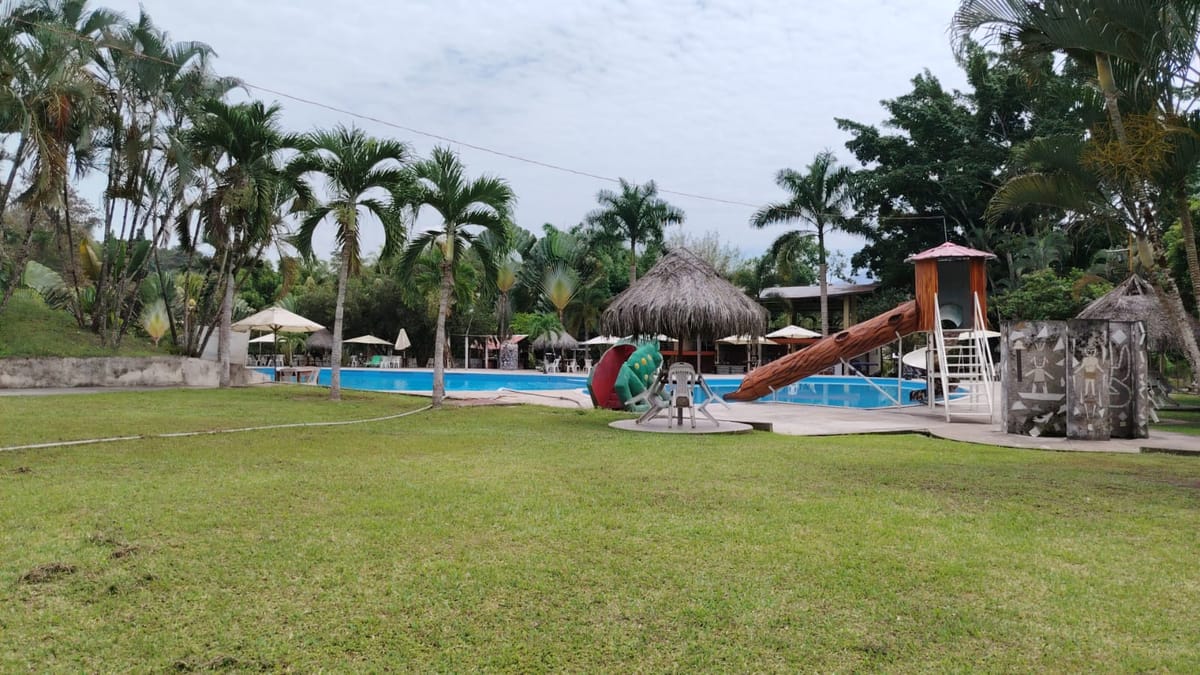 Piscina con toboganes, palmeras y sombrillas